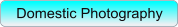 Domestic Photography
