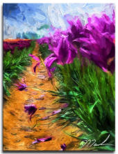 Fallen Petals 