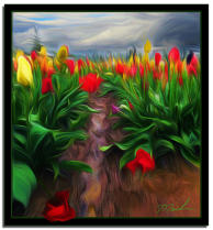 Wet Tulips Abstract