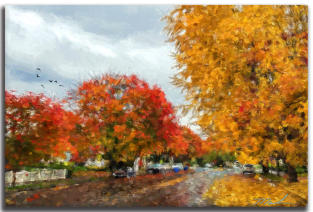Fall Foliage