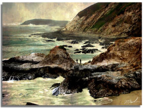 Bodega Head - Textured Image