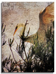 Building the Nest - Textured Image