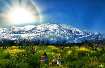 Artists in the Orchard