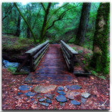 Bridge To...