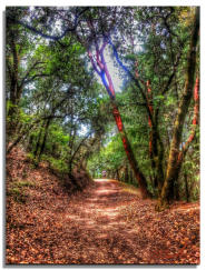 Running in Shiloh Regional Park 