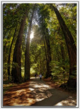 Walking in Armstrong