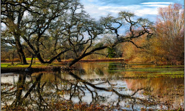 The Laguna Sebastopol