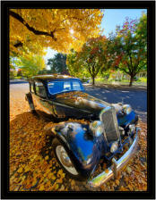 Classically Fall - 1954 Citroen