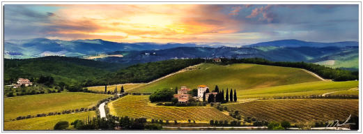 Tuscan Views