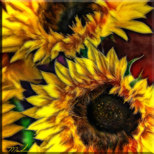 Squared Flowers