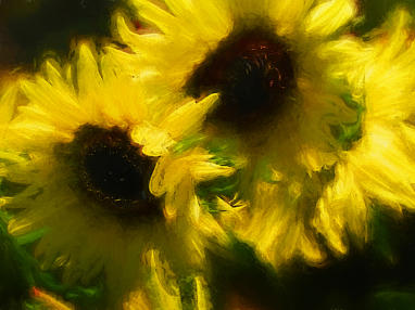 Dry Brushed Flowers 